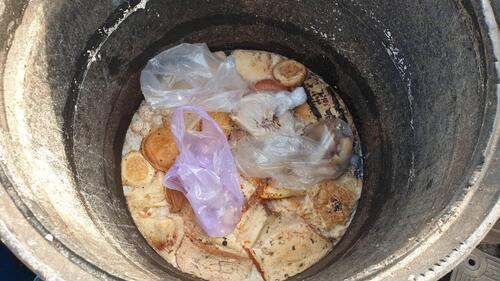 1141217守護養豬產業安全！中市府查獲龍井區違規廚餘養豬 後續將處最高400萬罰鍰