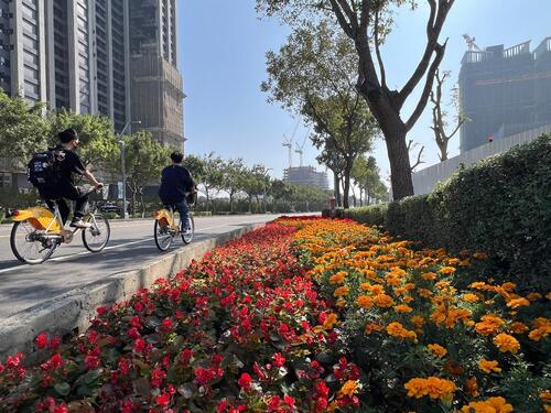 1150103二0二六新年走春好去處！台中道路、公園繽紛蒔花妝點城市景觀產品圖