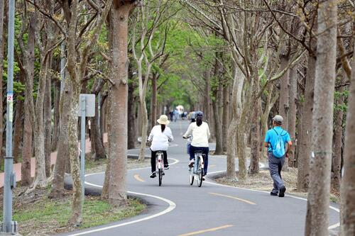 1150114消費保障再升級！中市推自行車出租「定型化契約」減少租賃爭議