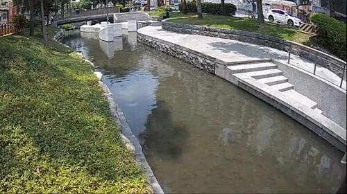 1150601節省經費致綠川退化？中市水利局曝4大整治工程：成果不容被扭曲抹煞