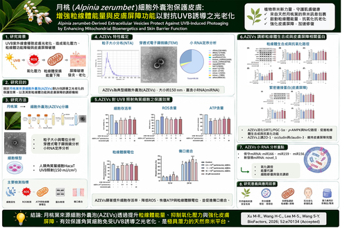 1150728興大研究破解月桃抗老關鍵  植物細胞外囊泡修復肌膚、提升細胞能量