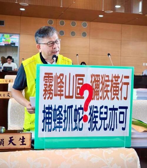 1150814霧峰山區彌猴橫行、採摘水果、入侵民宅 中市議員李天生要求市府協助解決