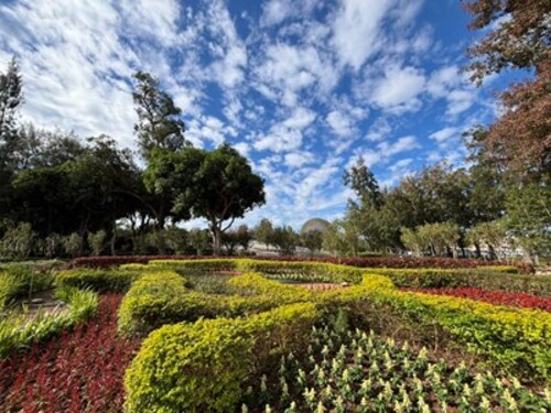1150406從展示藝術到生活場域 后里森林公園機械花啟動轉型