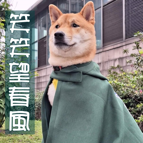 笑笑望春風產品圖